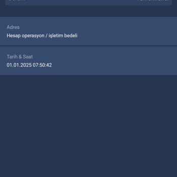 Bitexen Hesabımdaki Coinlerin İzinsiz Çekilmesi