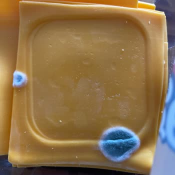 Küflü Peynir Sorunu: Ürün Değişim Veya İade Talebi