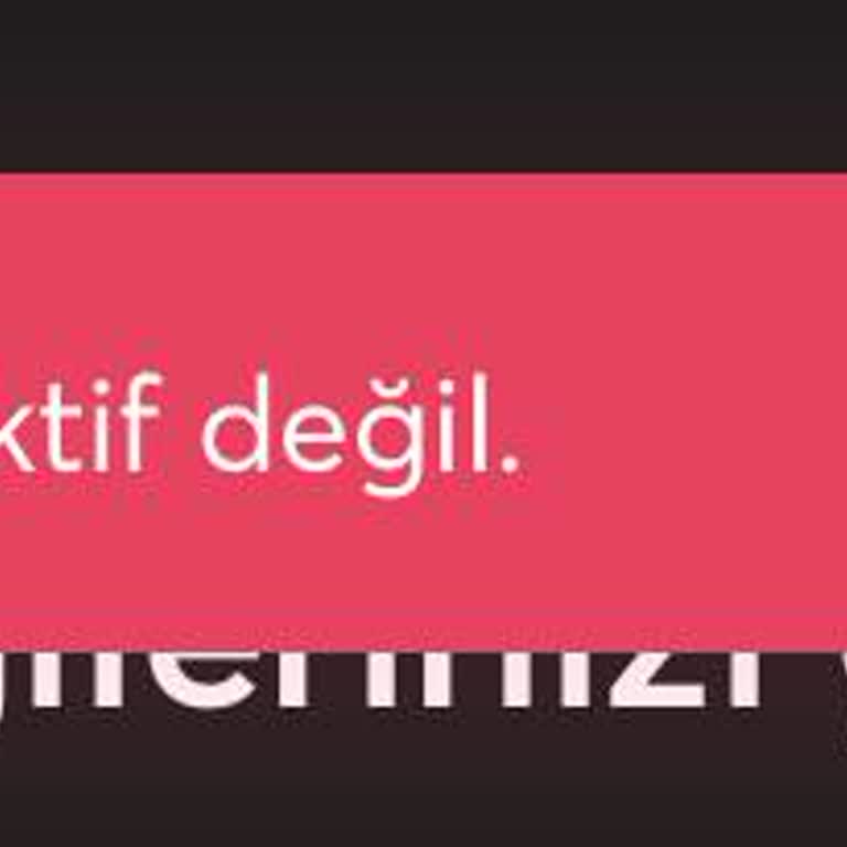 İninal Hesabına Erişim Sorunu Ve Çözüm Talebi