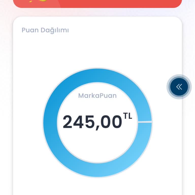 Chippin Opet Puan Kullanım Sorunu