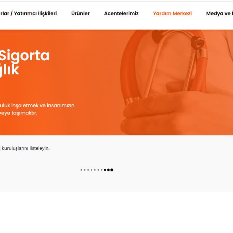 Tamamlayıcı Sağlık Sigortasında Karşılaşılan Sorunlar