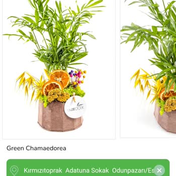 Aldatıcı Çiçek Siparişi Ve İlgisiz Müşteri Hizmetleri