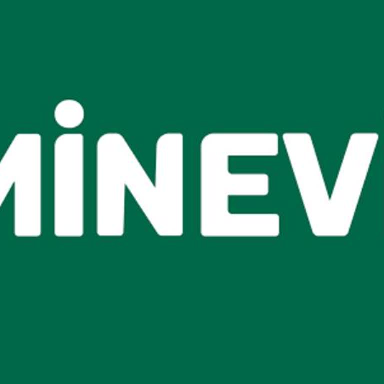 Eminevim'de Kura Bekleyişi: Pişmanlık Ve Belirsizlik