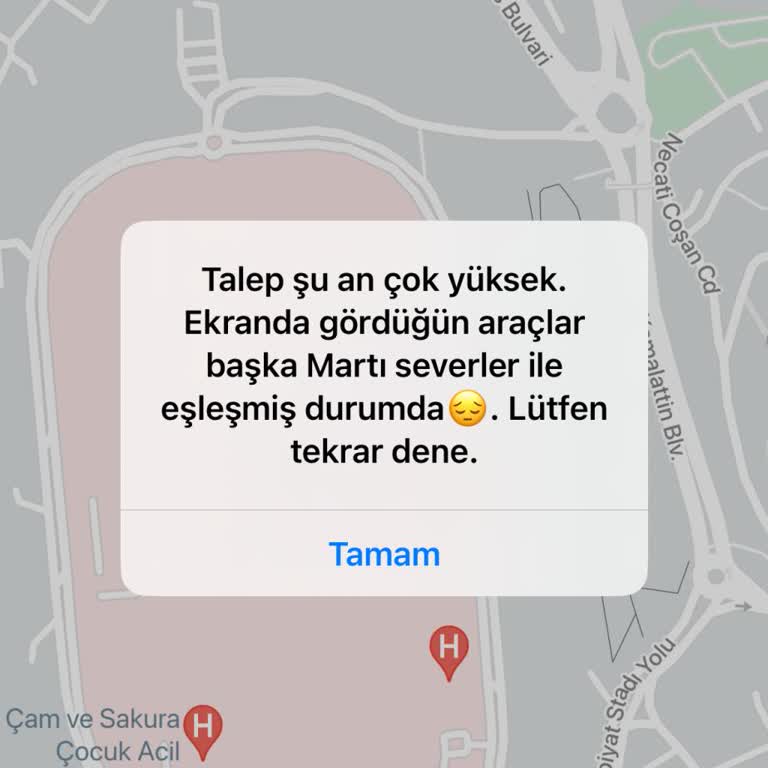 Martı Tag Uygulaması: Destek Eksikliği Ve Sürekli Hata