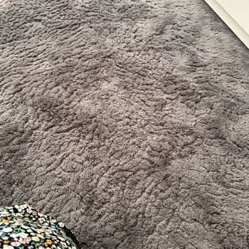 Madame Coco Halı Deformasyonu Ve Uzun İnceleme Süreci