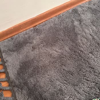 Madame Coco Halı Deformasyonu Ve Uzun İnceleme Süreci