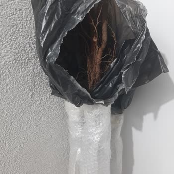 Yanlış Ürün Teslimatı Ve İletişimsizlik Sorunu