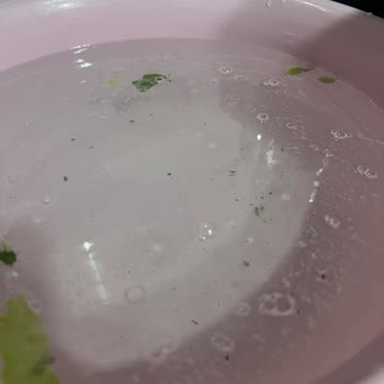 Migros Kıvırcık Marulda Kimyasal Tehlike