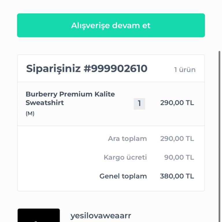 Shopier Siparişim Neden Kargoya Verilmedi?