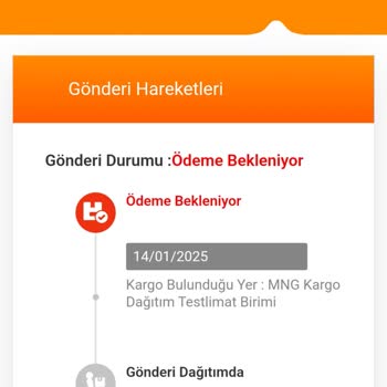 Kargo Ücreti Ve Ek Ödeme Sorunu