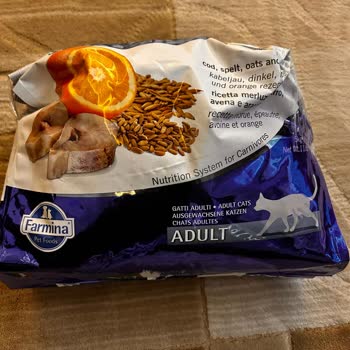 Kedim İçin Aldığım Mama Sorunu