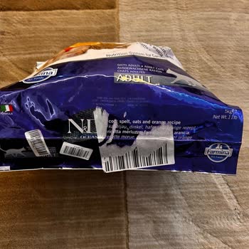 Kedim İçin Aldığım Mama Sorunu