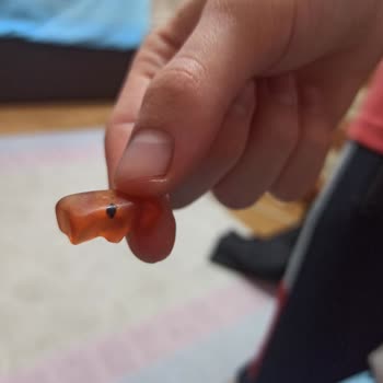 Haribo Altın Ayıcık Paketinden Çıkan Sert Plastik Şoku