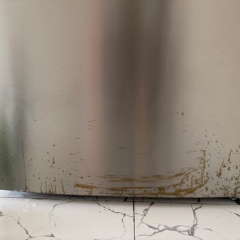 Vestel Buzdolabında Ani Küflenme Sorunu