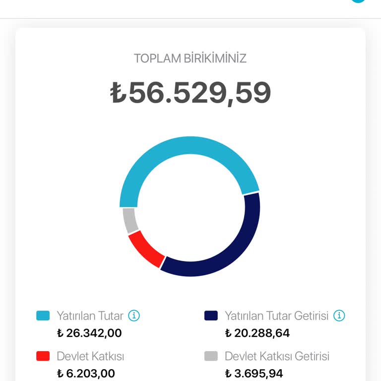 BES Kesintileri: Eksik Yatırılan Birikimler