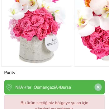 Tazecicek.com Yanıltıcı Ürün Gönderimi Ve Müşteri Memnuniyetsizliği!