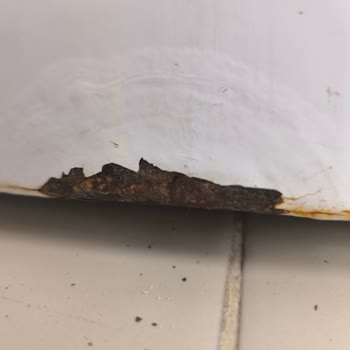 Beko Ürünlerinde Paslanma Ve Kalite Sorunları!