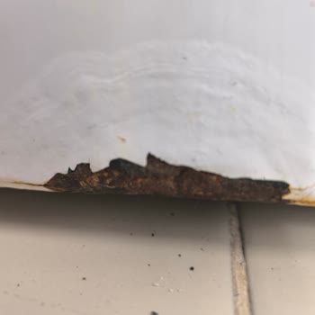 Beko Ürünlerinde Paslanma Ve Kalite Sorunları!