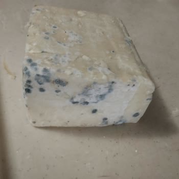 Ayıplı Tulum Peyniri Ve Mağaza İlgisizliği