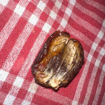 Kurtlu Hurma Skandalı: Sağlığımız Tehlikede!