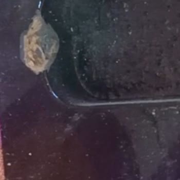 Garanti Kapsamında Çözülmeyen Ürün Problemi Ve Yetersiz Müşteri Hizmeti