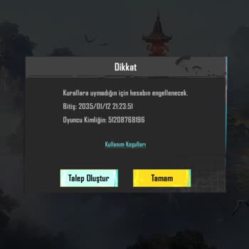 Haksız 10 Yıllık Ban: PUBG Mobile Hesap Sorunu