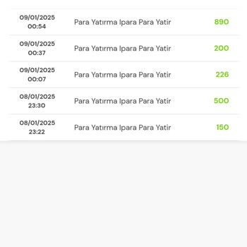 Milli Piyango Uygulamasında Para Yükleme Sorunu