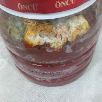 Küflü Domates Salçası Sorunu