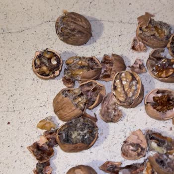 A101 Kurtlu Ceviz Skandalı: Sağlık Ve Cebimize Zararlı Alışveriş