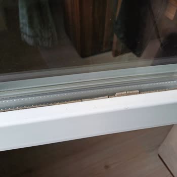 Adopen Pencereleri: Hayal Kırıklığı Ve Mağduriyet