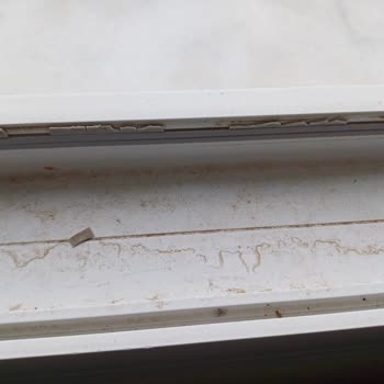 Adopen Pencereleri: Hayal Kırıklığı Ve Mağduriyet