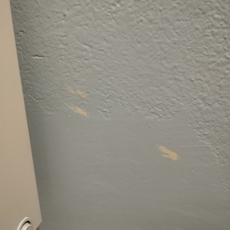 Marshall Boya Kalitesizliği: Silpak Boya Sorunu