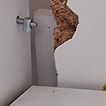 Mobilya Kalitesizliği Ve Satış Sonrası Destek Eksikliği