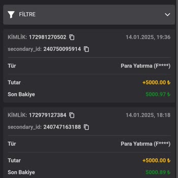 Ödeme Yapılmayan Yatırım Ve Kilitlenen Hesap