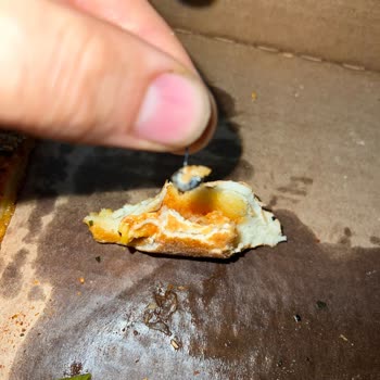 Domino's Pizzada Şok Eden Küpe Sürprizi