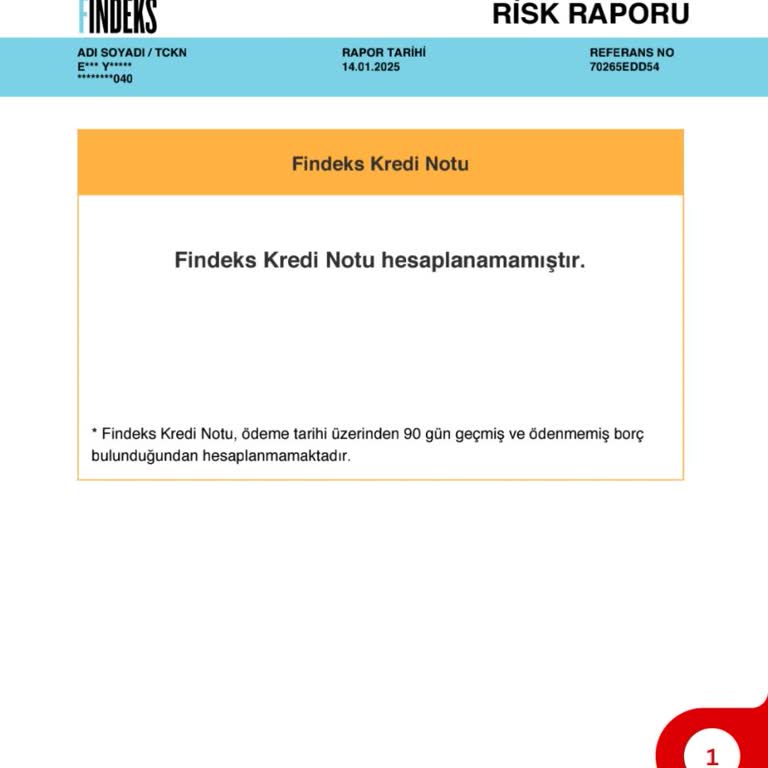 Kredi Notum Hesaplanamıyor: Findeks Risk Raporu Sorunu