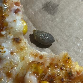 Zeytin Çekirdeği Ve Farklı Tat: Domino's Pizza Deneyimi