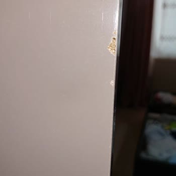 Mondihome Teslimat Sonrası Sorunlu Gardırop Kapısı