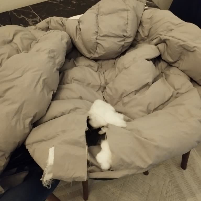 LCW Mont Kalitesi Ve Müşteri Hizmeti Hayal Kırıklığı