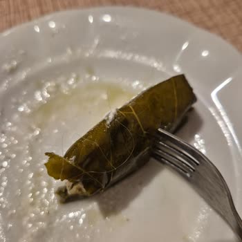 Tamek Konserve'de Hijyen Sorunu