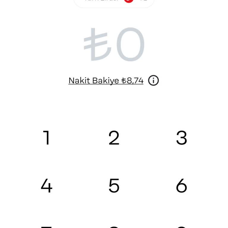 Papara Kendi Paramı Kullanamıyorum: Acil Çözüm Bekliyorum