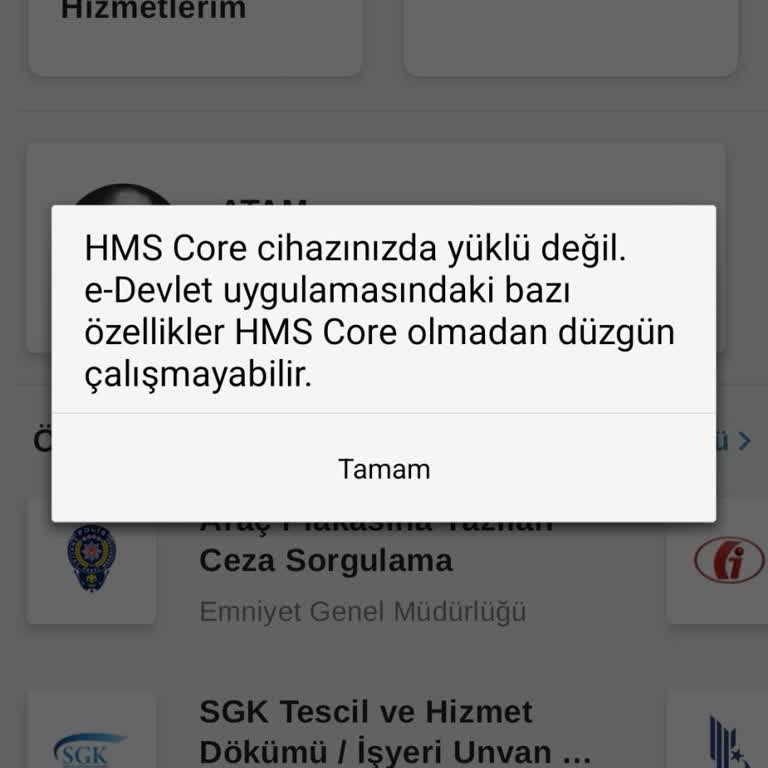Samsung Galaxy S24 Plus İle E-Devlet Sorunu