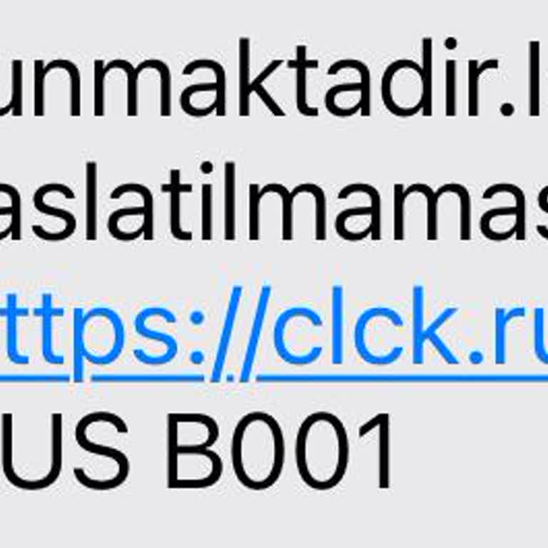 Hatalı HGS Borcu Ve Kimlik Bilgileri Kullanımı Şikayeti