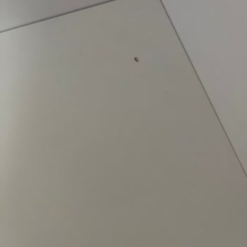 Vivense'den Aldığım Ürünler Hayal Kırıklığı Yarattı