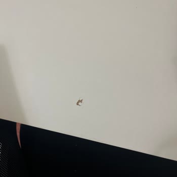 Vivense'den Aldığım Ürünler Hayal Kırıklığı Yarattı