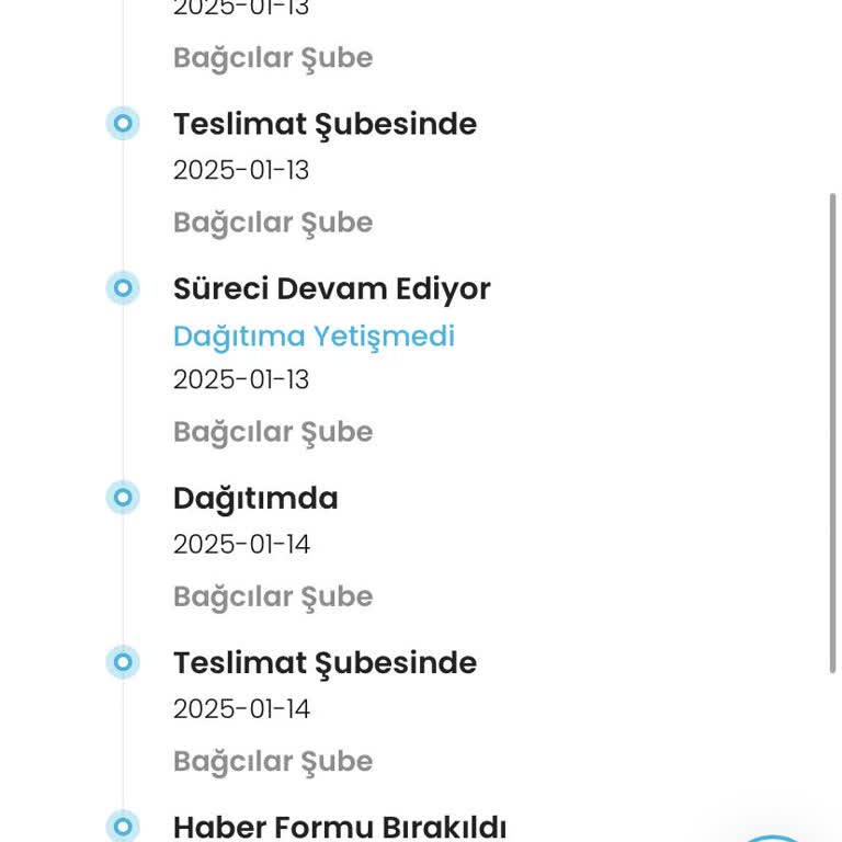 Kargo Teslimatında Yaşanan Gecikmeler Ve Sorunlar
