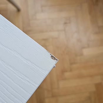 Modalife'dan Aldığım Ürünler Hayal Kırıklığı Yarattı