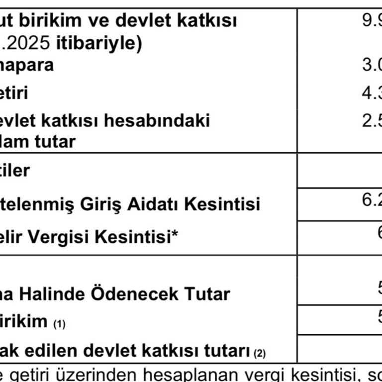 Bireysel Emeklilikte Kesintilerle Hayal Kırıklığı