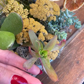 Yanlış Ürün Teslimatı Ve Yetersiz Çözüm Süreci