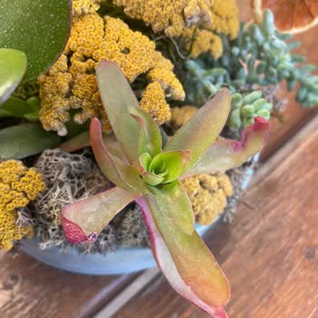 Yanlış Ürün Teslimatı Ve Yetersiz Çözüm Süreci